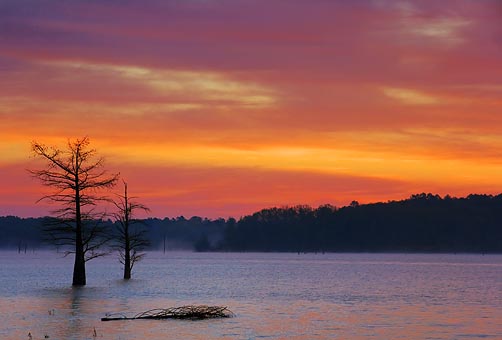 Tournament Details: Grenada Lake - Crappie Masters